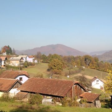 bohorina1.jpeg