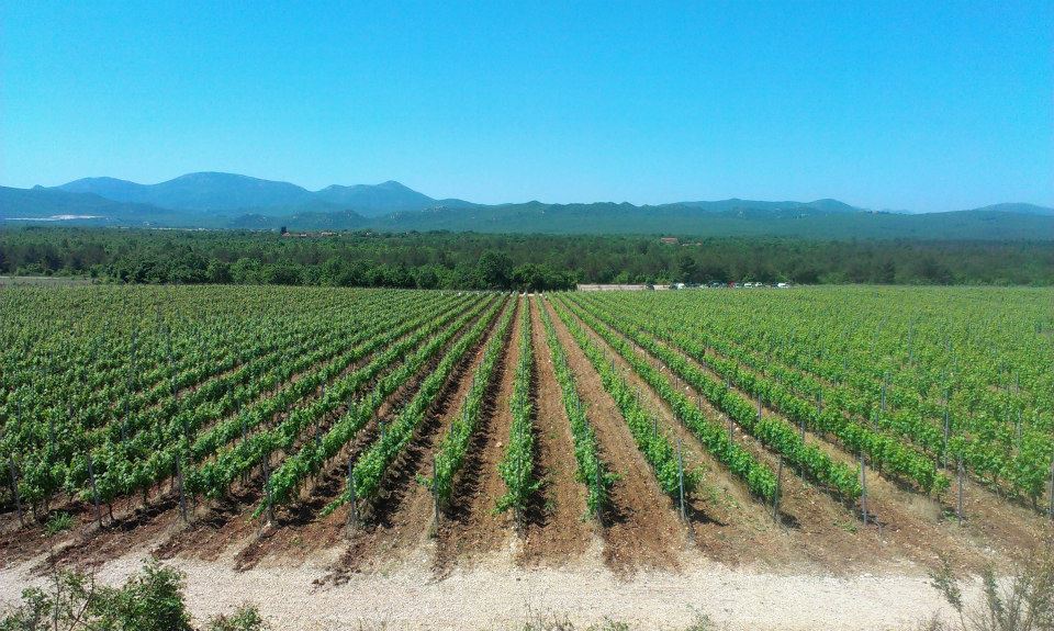 Vinarija Keža