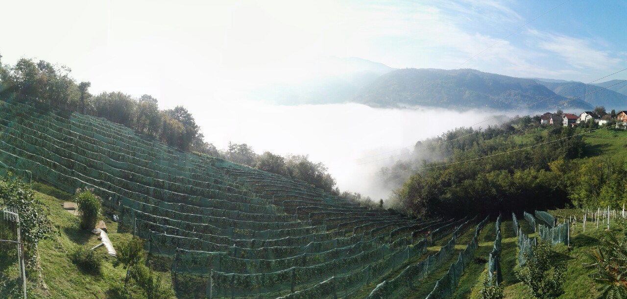 Vinarija Matekalo