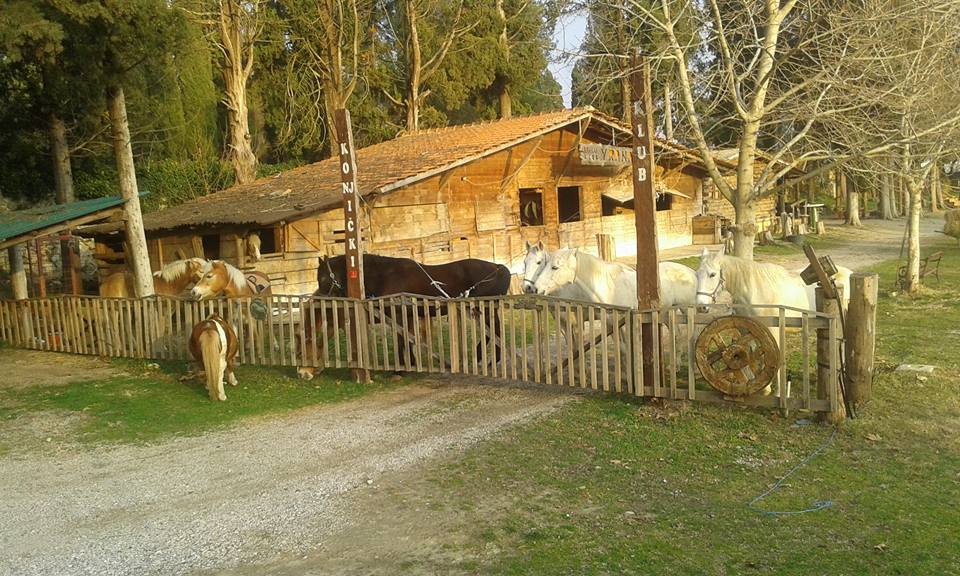 Konjicki klub Vranac