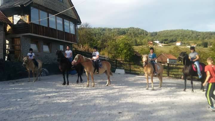 Udruženje Planinski konj